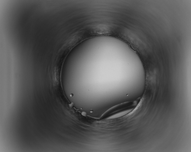 X0000093500170200710121520