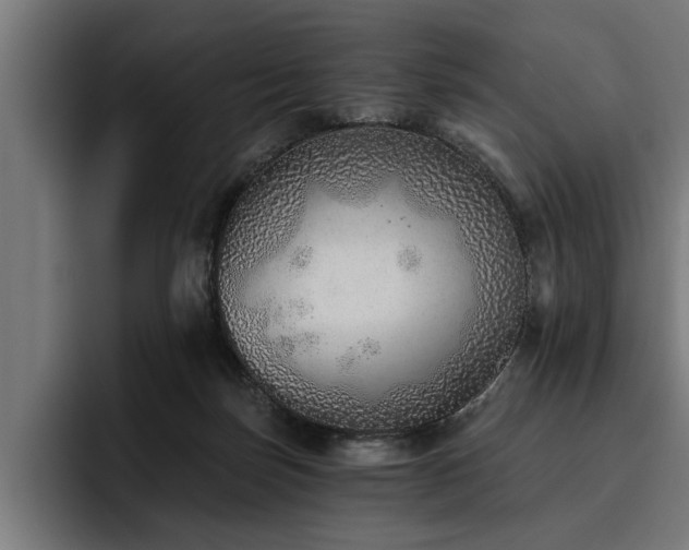 X0000093500171200710121520