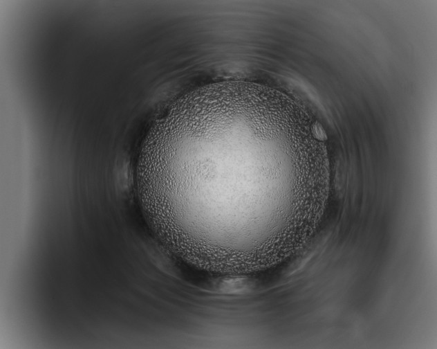 X0000093500173200710121520