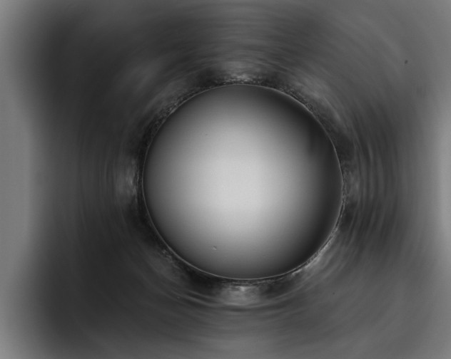 X0000093500174200710121520