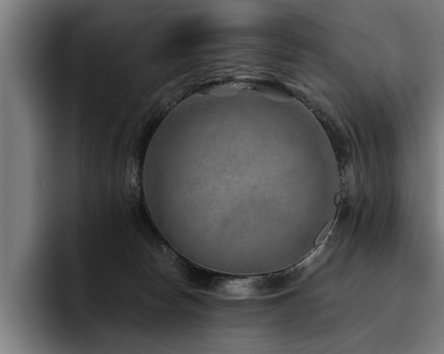 X0000093500178200710121520