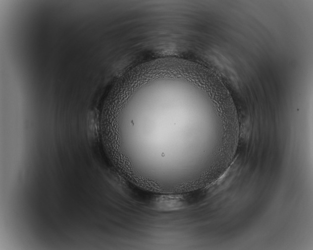 X0000093500179200710121520