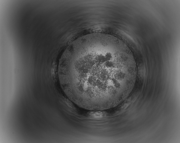 X0000093500181200710121520