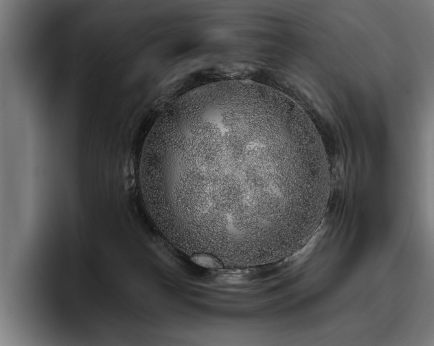 X0000093500182200710121520