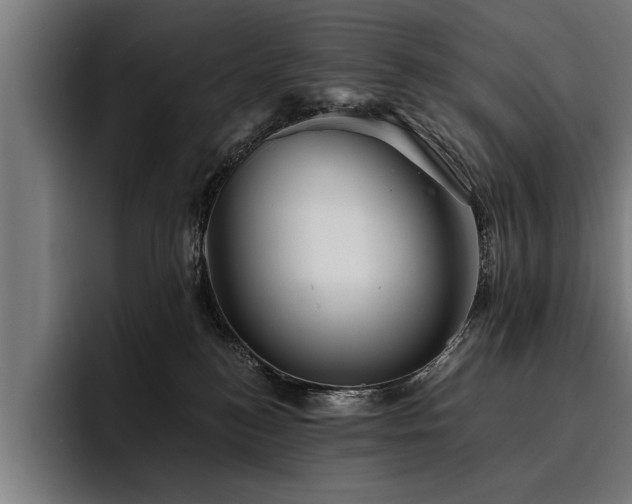 X0000093500184200710121520
