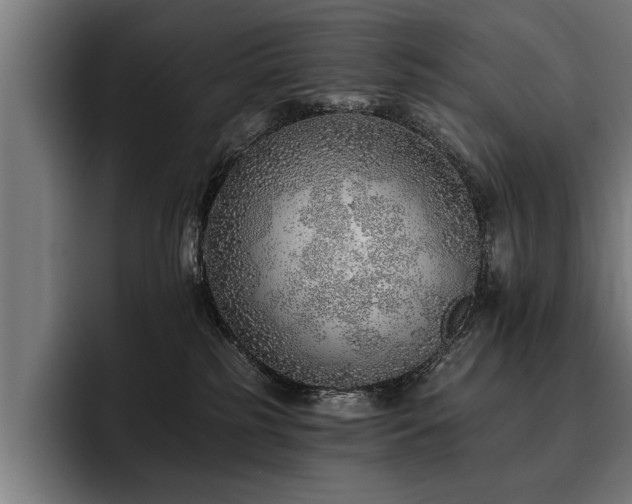 X0000093500185200710121520