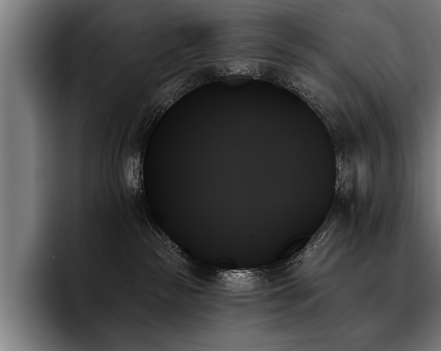X0000093500189200710121520