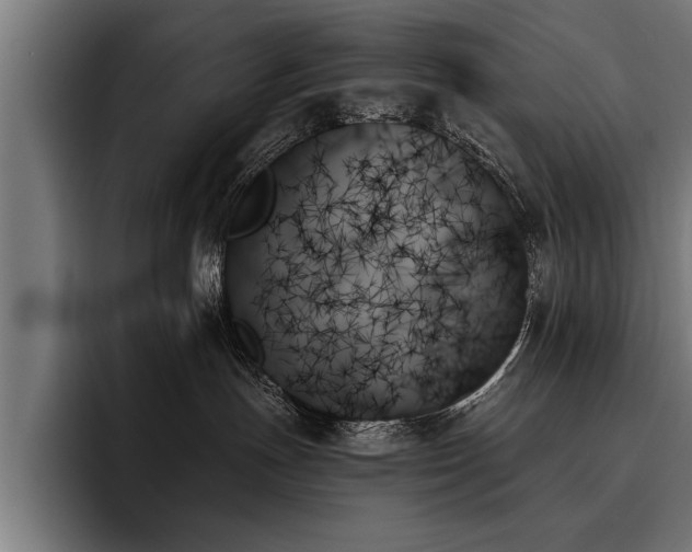 X0000093500191200710121520