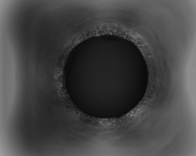 X0000093500192200710121520