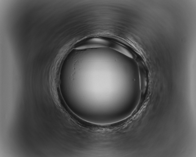 X0000093500193200710121519