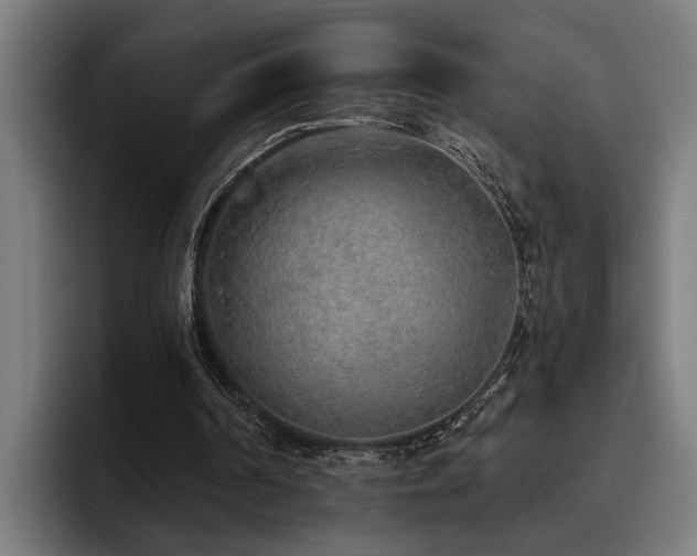 X0000093500194200710121519