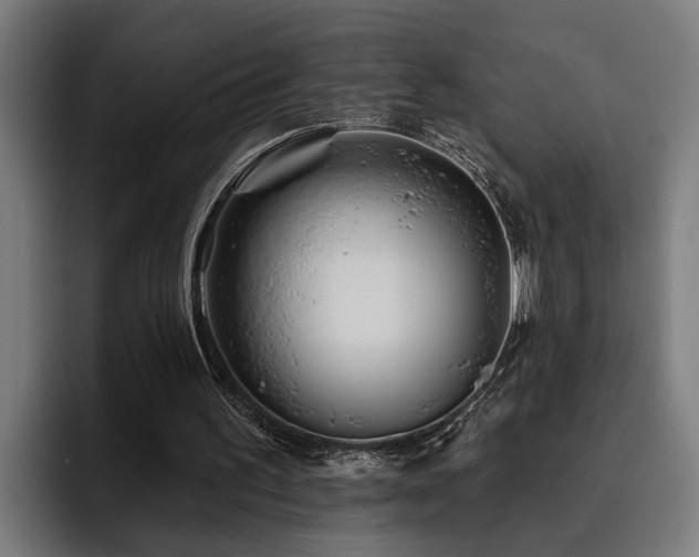 X0000093500195200710121519