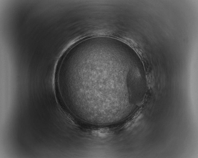 X0000093500196200710121519