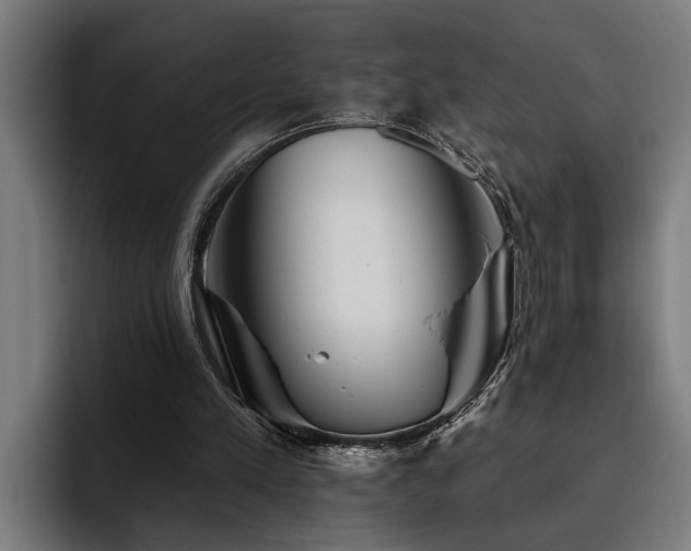 X0000093500197200710121519