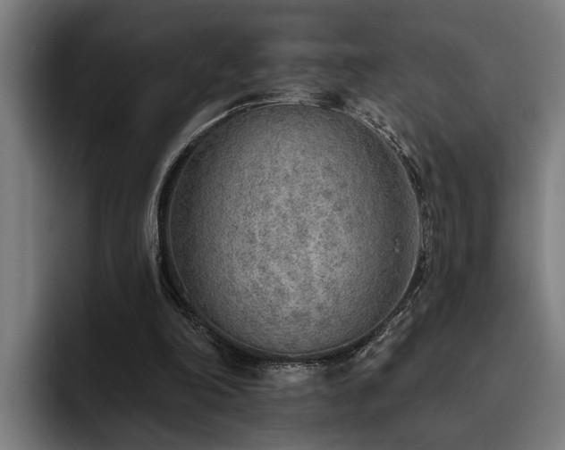 X0000093500198200710121519