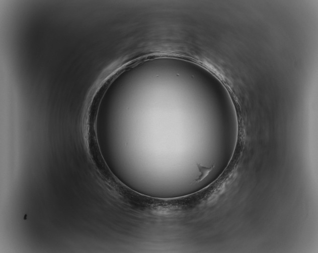 X0000093500199200710121519