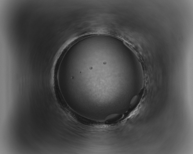 X0000093500200200710121519