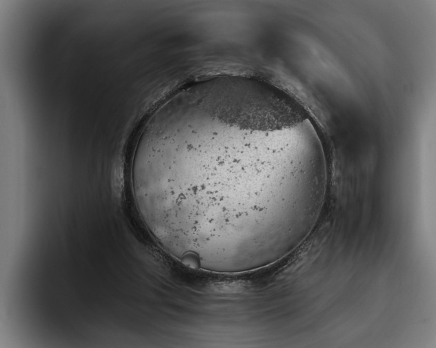 X0000093500202200710121519