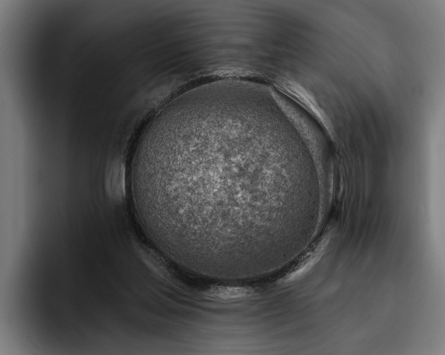 X0000093500205200710121519
