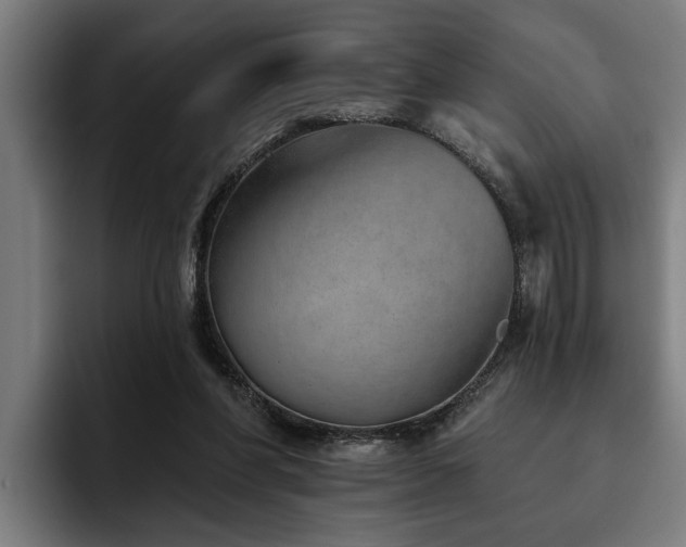 X0000093500206200710121519