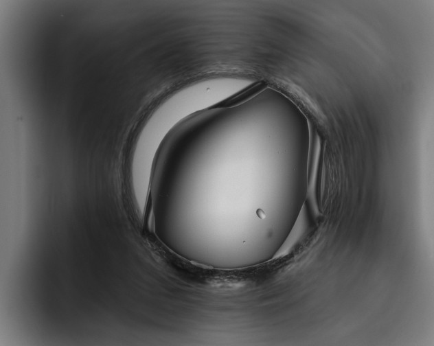 X0000093500207200710121519