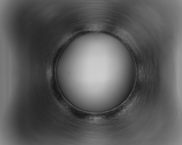 X0000093500208200710121519