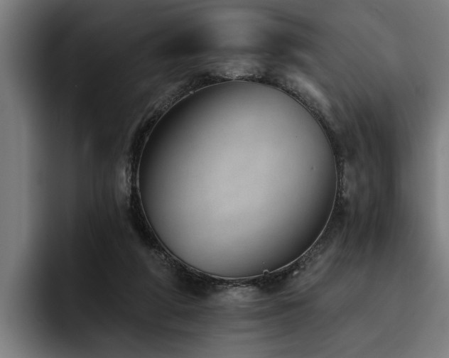 X0000093500210200710121519