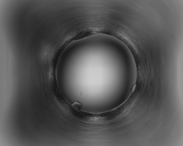 X0000093500212200710121519