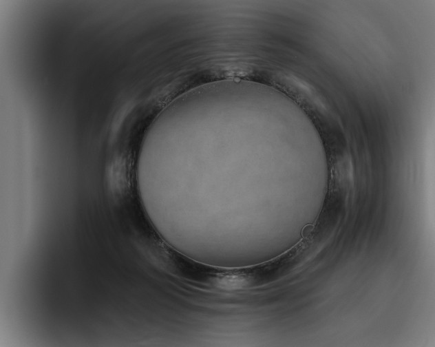 X0000093500218200710121519