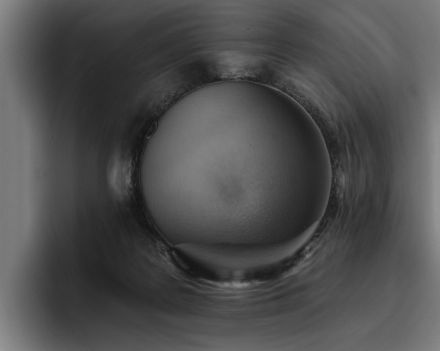 X0000093500219200710121519