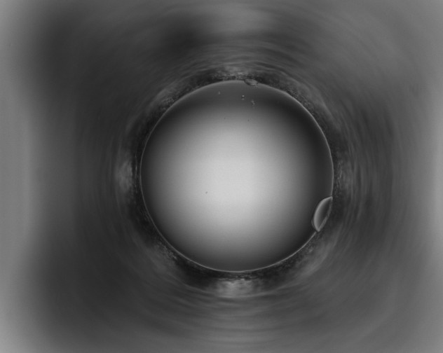 X0000093500220200710121519