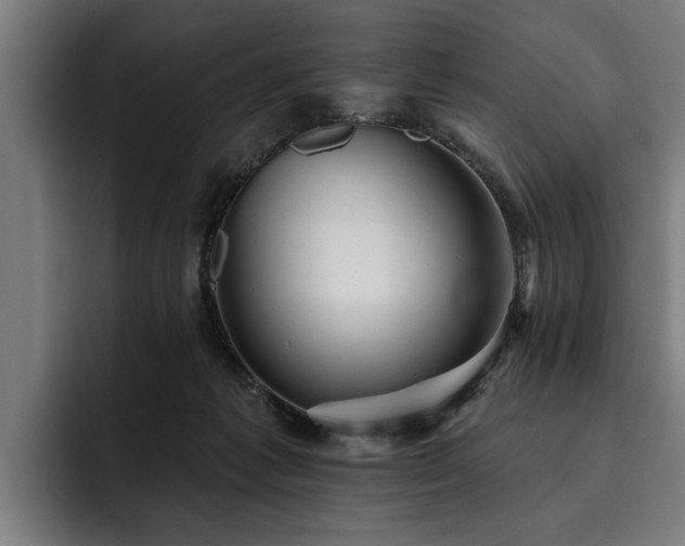 X0000093500221200710121519