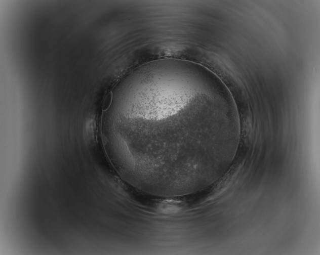 X0000093500222200710121519