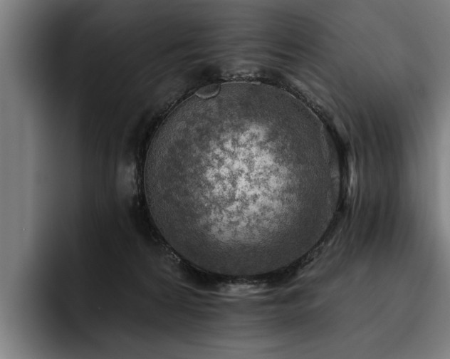 X0000093500224200710121519
