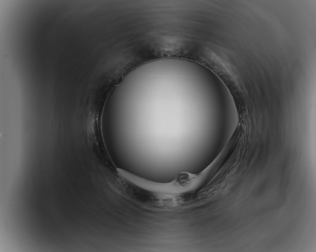 X0000093500225200710121519