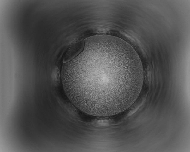 X0000093500228200710121519