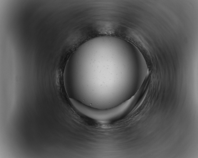 X0000093500229200710121519