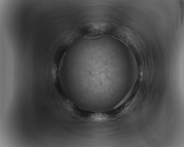 X0000093500231200710121519