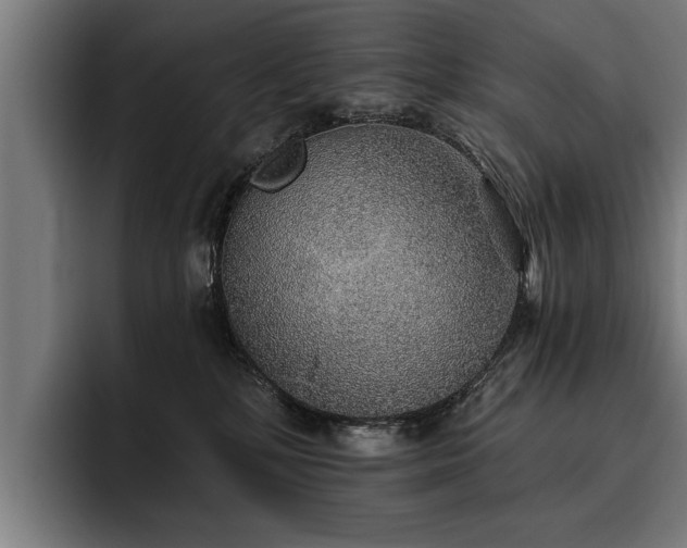 X0000093500232200710121519