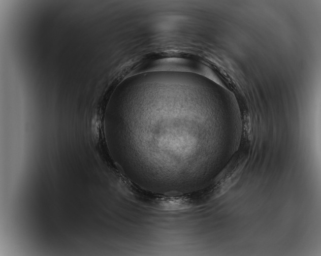 X0000093500235200710121519