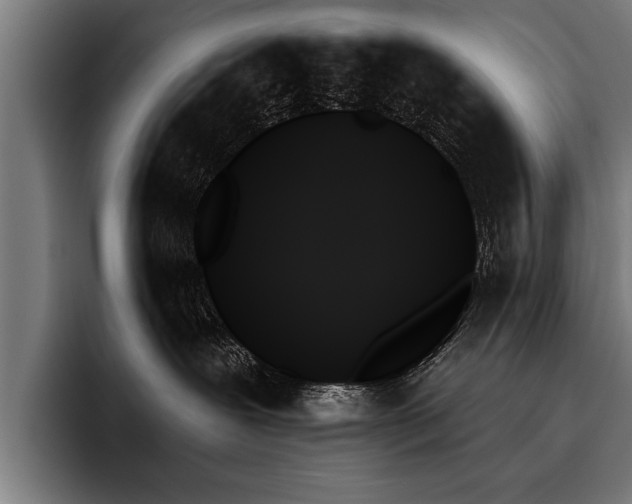 X0000093500239200710121519