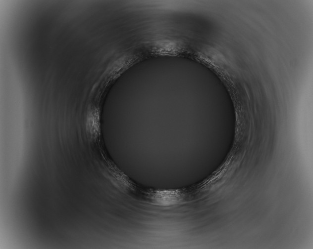 X0000093500240200710121519
