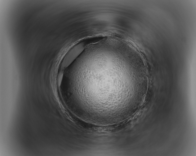 X0000093500241200710121518