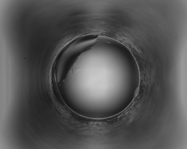 X0000093500242200710121518