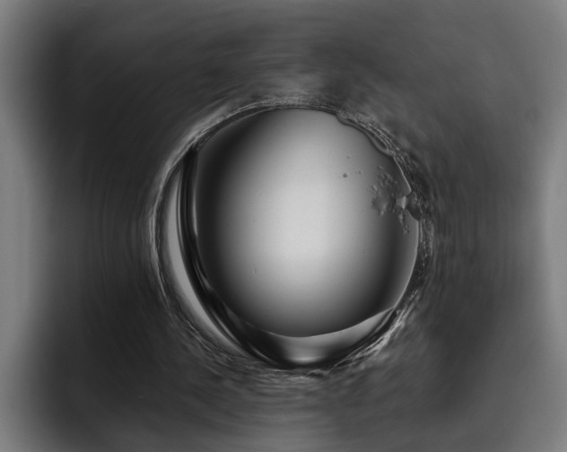 X0000093500244200710121518