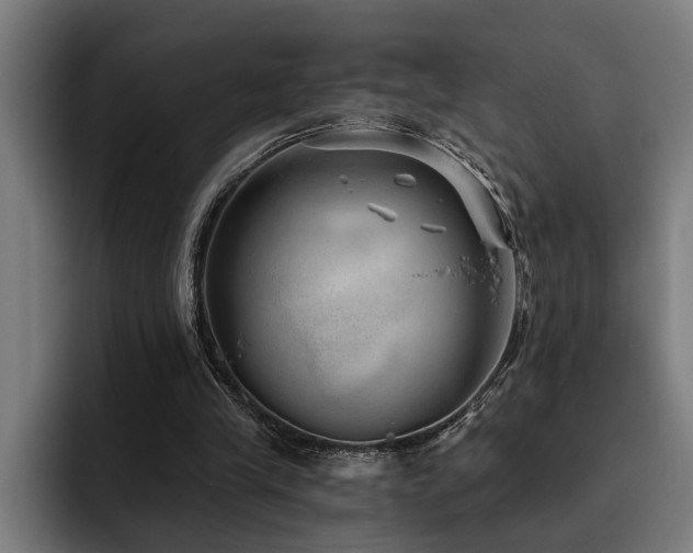X0000093500245200710121518