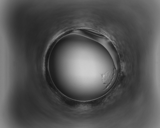 X0000093500248200710121518