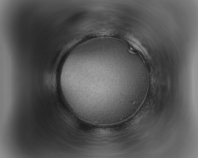 X0000093500250200710121518