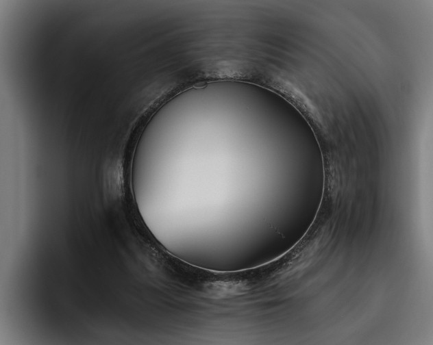 X0000093500251200710121518