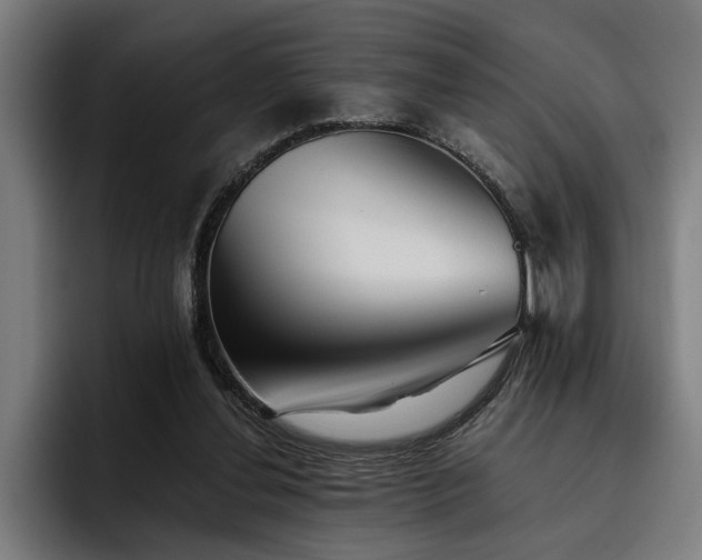 X0000093500252200710121518